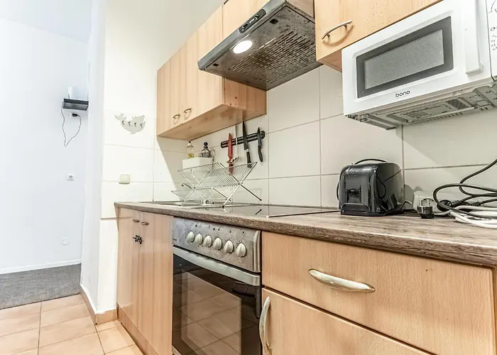 Elegant 6br Retreat Near Danube & Garden Access 公寓 维也纳